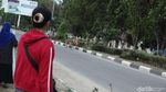 Penampakan Belasan Rusa Berkeliaran di Jalanan Kota Palu