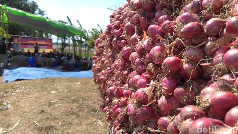 Harga Terjun Bebas, Petani Bawang Merah Gelar Doa Bersama Harga Terjun Bebas, Petani Bawang Merah Gelar Doa Bersama