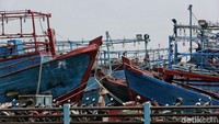 Sertifikasi akan dilakukan tidak hanya terhadap kapal penumpang, namun sertifikasi juga dilakukan pada kapal-kapal nelayan maupun kapal pengangkut barang atau kargo termasuk pelaut dann kru kapal akan disertifikasi.