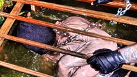 Foto: Tak ada yang berhasil melewati rumah hantu ini selama 8 jam. Pengunjung paling berani adalah Sarah P yang bertahan selama 6 jam dan pada akhirnya menyerah. (mckameymanor.com)