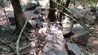 Berdasarkan cerita orang-orang tua, batu panjang ini juga menjadi tempat petilasan pada zaman kerajaan. Sebagai salah satu tempat peristirahatan. (Dadang Hermansyah/detikTravel)