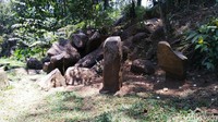 Foto: Batu berukuran panjang rata-rata sekitar 3 meter dengan diameter sekitar 40 cm, tidak membulat melainkan persegi lima. Ada juga batu dengan panjang sekitar tinggi 2 meter dan dikelilingi beberapa batu dibawahnya. (Dadang Hermansyah/detikTravel)