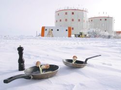 Brr... Peneliti Ini Viral karena Masak di Suhu Minus 80 Derajat