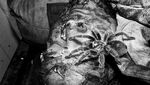 Jangan Lihat Kalau Takut! Potret Rumah Hantu yang Penuh Siksaan