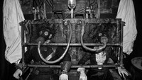 Foto: McKamey Manor adalah sebuah rumah berhantu dengan tema siksaan di San Diego, California. Rumah hantu ini dikelola sendiri oleh Russ McKamey. (mckameymanor.com)