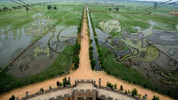 Sawah di Shenyang, China ini memunculkan gambar 3D dalam bentuk naga. (Foto: VCG/VCG via Getty Images)