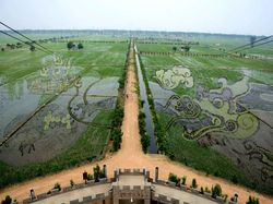 Gambar 3D Unik Berkanvaskan Sawah, Jalanan, dan Tembok