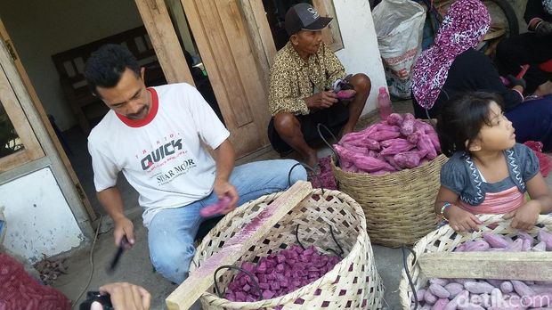 7 Makanan Tradisional Indonesia Yang Dibuat Dengan Hasil Bioteknologi