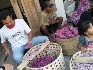 Legit dan Beda, Inovasi Tape Ubi Ungu dari Bondowoso