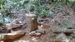 Foto: Bebatuan Megalitikum yang Penuh Misteri di Ciamis