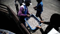 Salah satu aktivitas nelayan di kawasan Pelabuhan Muara Angke, Jakut.