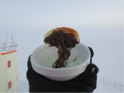 Brr... Peneliti Ini Viral karena Masak di Suhu Minus 80 Derajat