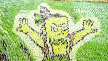 Satu lagi gambar 3D yang ditemui pada sawah di Shenyang, China. (Foto: VCG/VCG via Getty Images)