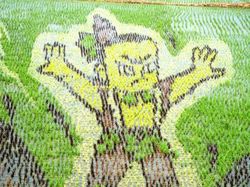 Gambar 3D Unik Berkanvaskan Sawah, Jalanan, dan Tembok