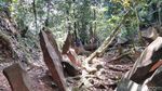 Foto: Bebatuan Megalitikum yang Penuh Misteri di Ciamis