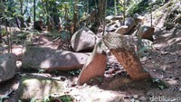 Foto: Pemandangan penuh bebatuan dengan beragam ukuran ini bisa kamu lihat di Situs Budaya Batu Panjang Ciamis. (Dadang Hermansyah/detikTravel)
