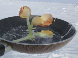 Brr... Peneliti Ini Viral karena Masak di Suhu Minus 80 Derajat