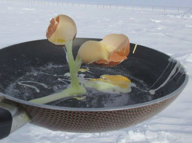 Brr... Peneliti Ini Viral karena Masak di Suhu Minus 80 Derajat