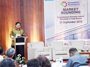 Kemenperin Jajakan Industri Petrokimia Teluk Bintuni Lewat Skema KPBU