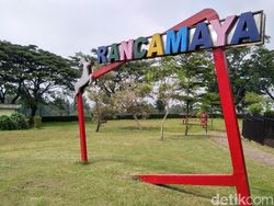 Menjajal Kemampuan Kamera Nokia 6.1 Plus