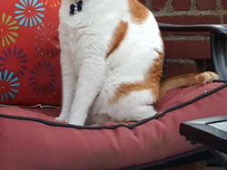 Kumpulan Foto Panorama Gagal yang Bikin Ngakak