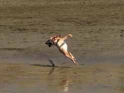 Kumpulan Foto Panorama Gagal yang Bikin Ngakak