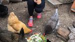 Jago Masak, Ini Aksi Jennifer Garner Saat Berkreasi di Dapur