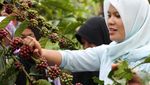 Ini Dua dari 10 Besar The Best Indonesian Coffee