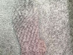 Bisa Lihat Apa Saja yang Tersembunyi di Foto-foto Ini?