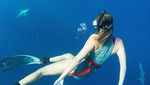 Gaya Liburan Atlet Surfing Peraih Rekor Dunia