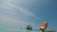 Foto: Ini dia saat berada di Maldives dan berenang bareng hiu. Gokil ya! (victoriabonya/Instagram)