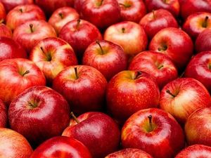 Bukan Hanya Mawar, Ini Buah dan Sayur yang Melambangkan Cinta