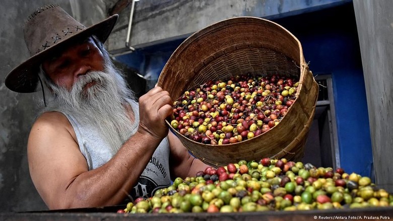 Ditelantarkan Bank, Petani Indonesia Berpaling ke Crowdfunding Ditelantarkan Bank, Petani Indonesia Berpaling ke Crowdfunding