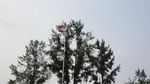 Foto: Monumen Bersejarah di Tengah BSD City, Sudah Tahu Belum?