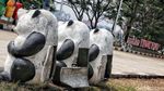 Kondisi Waduk Pluit Jelang Setahun Pemerintahan Anies