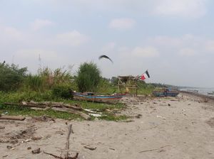Akibat BAB Sembarangan, Cacingan Merajalela di Pandeglang