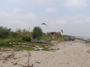 Akibat BAB Sembarangan, Cacingan Merajalela di Pandeglang