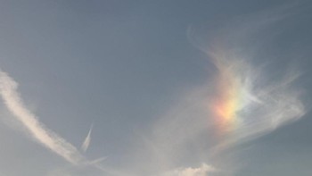 Salah seorang netizen di Twitter juga sempat membagikan fenomena sun dog yang mirip percikan pelangi. Foto: Twitter/VirtualAstro