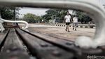 Kondisi Waduk Pluit Jelang Setahun Pemerintahan Anies