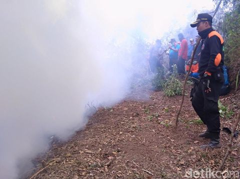 Kebakaran di Lereng Merbabu Padam, 15 Hektar Lahan Hutan Ludes