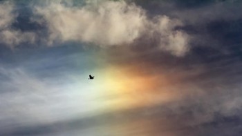 Menariknya, sun dog tak melulu soal Matahari kembari. Fenomena ini juga bisa tampak seperti pelangi yang menyebar. Foto: NASA