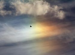 Kumpulan Potret Sun Dog, Saat Matahari Terlihat Lebih dari Satu