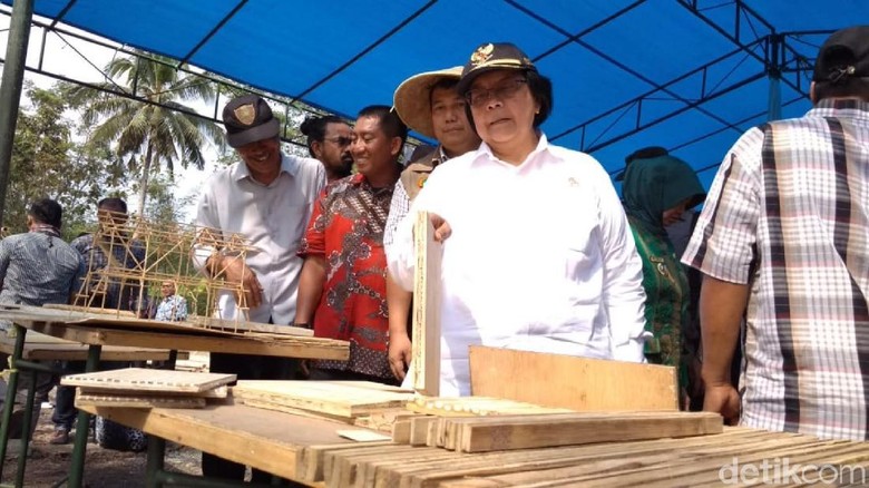Menteri Siti Bagikan 15 Ribu Bibit Bambu ke Warga Banjar Menteri Siti Bagikan 15 Ribu Bibit Bambu ke Warga Banjar