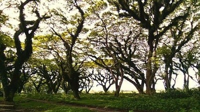 5 Destinasi Indonesia yang Mirip di Serial TV Game of Thrones