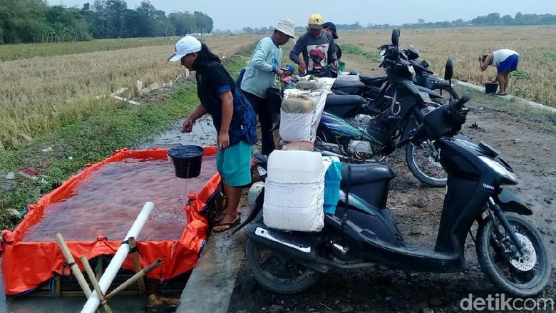 Cerita Warga Slangit Cirebon Tempuh 2 KM Akses Air Bersih Cerita Warga Slangit Cirebon Tempuh 2 KM Akses Air Bersih