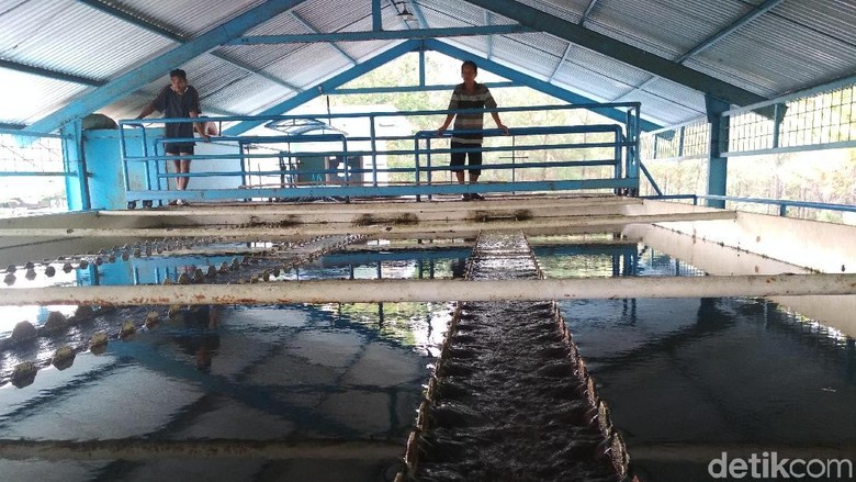 PDAM: Kemarau Panjang, Ada Sumber Air di Trenggalek yang Kering Total PDAM: Kemarau Panjang, Ada Sumber Air di Trenggalek yang Kering Total
