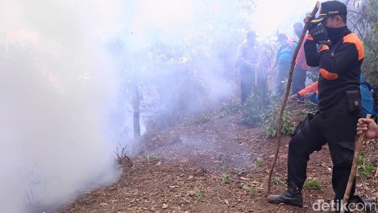 Kebakaran di Lereng Merbabu Padam, 15 Hektar Lahan Hutan Ludes Kebakaran di Lereng Merbabu Padam, 15 Hektar Lahan Hutan Ludes
