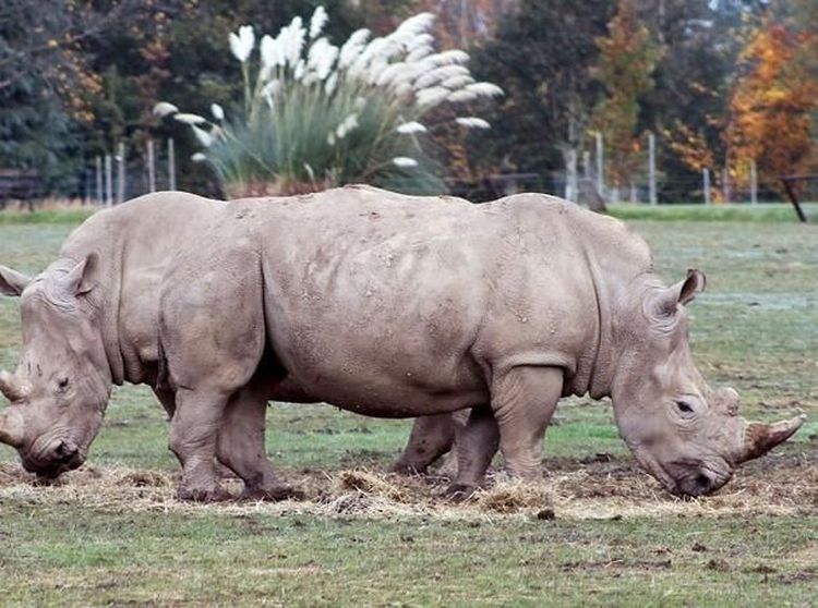 Kumpulan Foto Ini Bikin Mata Terpana