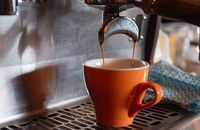 Mau Cicip? Segelas Kopi di Melbourne Ini Dijual Seharga Rp. 2.3 Juta