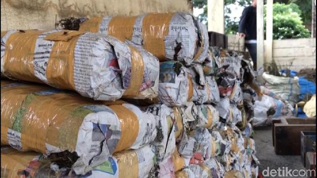 Hari Kedua Operasi, Polisi Babat 3 Hektare Lahan Ganja di Aceh